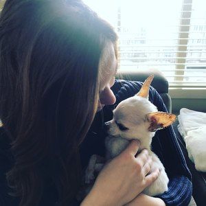 Meet your Posher, Cambria